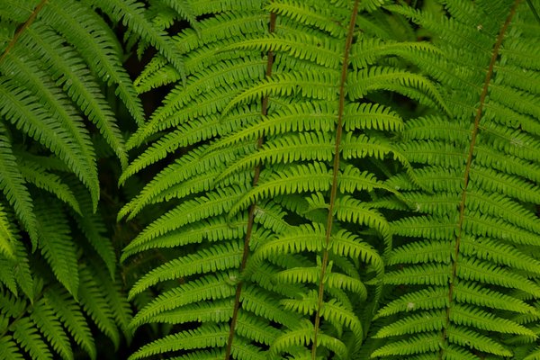 Votre avocat dans les landes : un soutien juridique à vos côtés